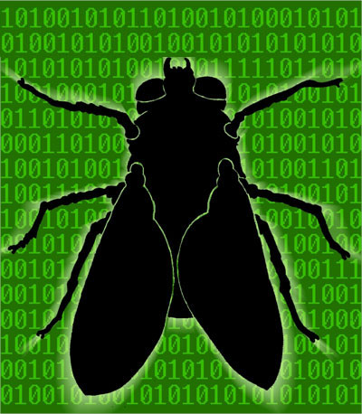 the <mutant> FLY